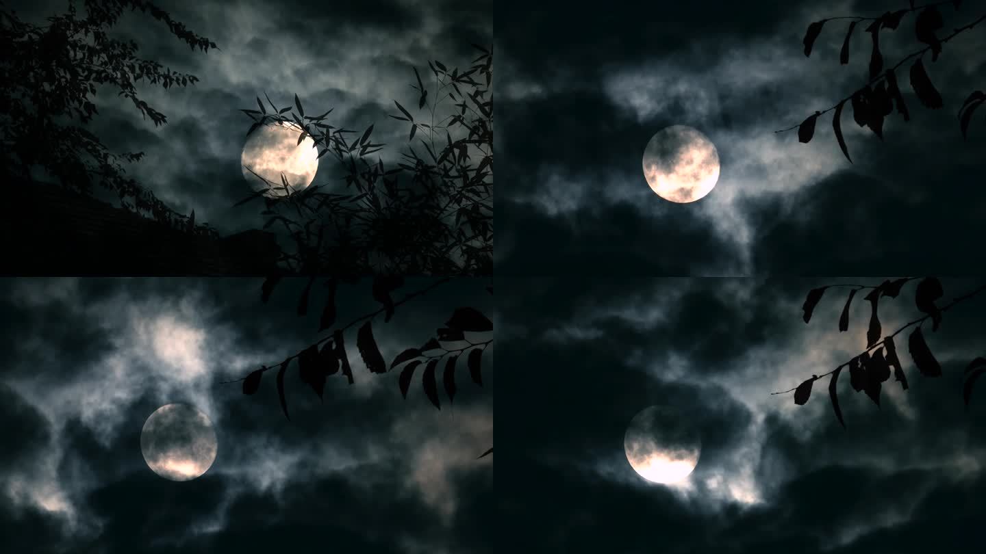 黑夜 树影月亮 圆月暗夜 云遮月