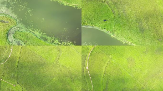 湿地，草地，湖泊航拍空镜