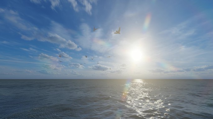 太阳 大海  海鸥    彩虹