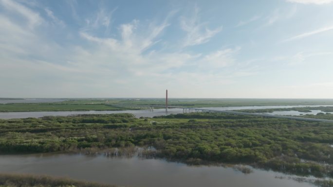 湿地，树林，草地，湖泊航拍空镜