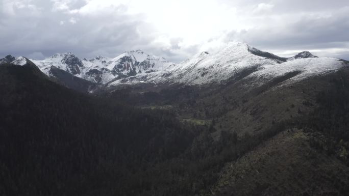 航拍白马雪山