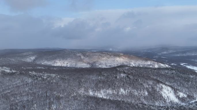 航拍大兴安岭冬季雪色山林