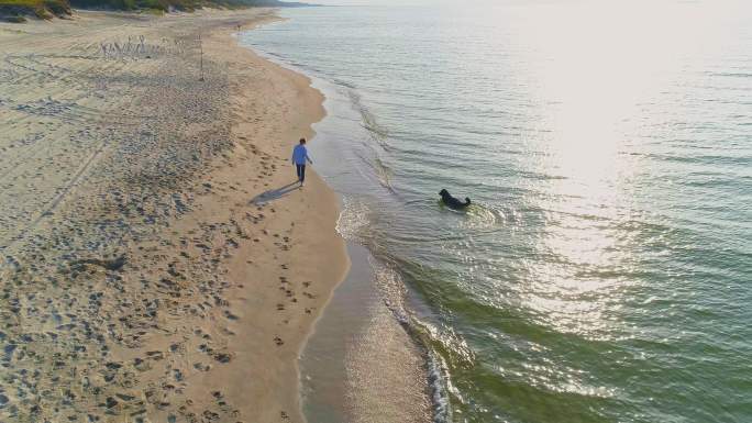 在阳光明媚的秋天，55岁的成熟、活跃、迷人的女人在波罗的海的沙滩上与她的大狗Zennenhund玩耍
