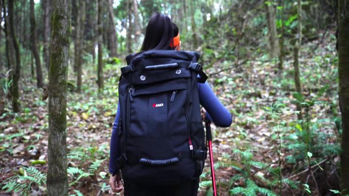 原创视频女孩林中徒步女孩穿越树林森林探险