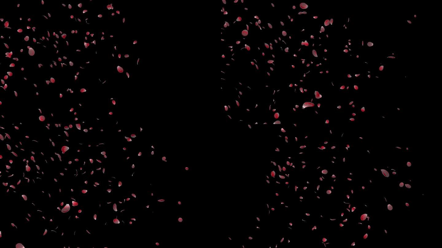 散落的花瓣png透明元素素材图片下载-素材编号05311490-素材天下图库