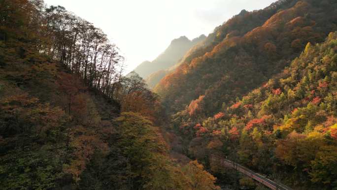 四川光雾山秋季红叶日落环绕航拍