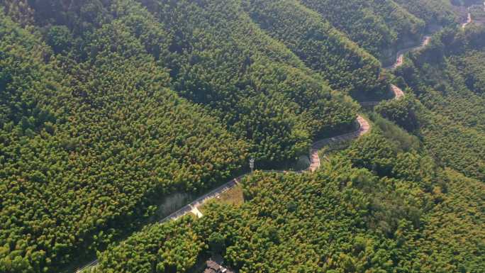 重庆茶山竹海公路旅行航拍自然风光