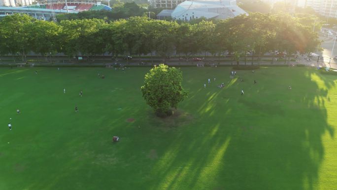 城市 公园 草坪