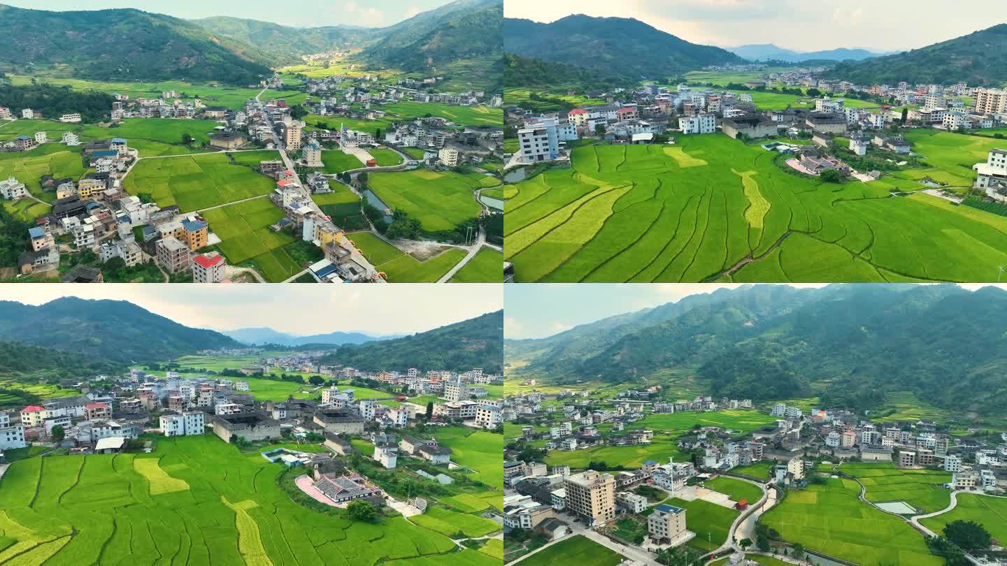 土楼边上的村庄和稻田4K航拍