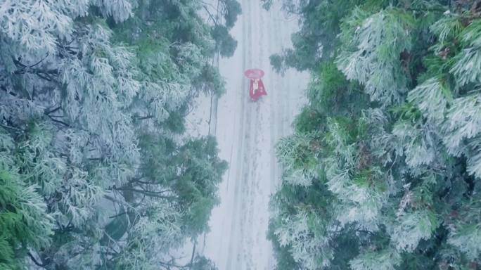 原创古装女子雪地行走视频