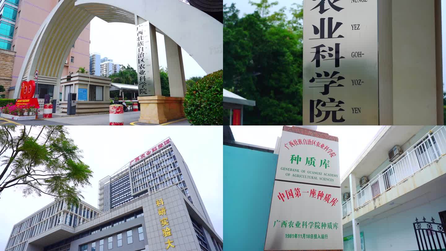 广西农业科学院 种质库 中国第一座种质库