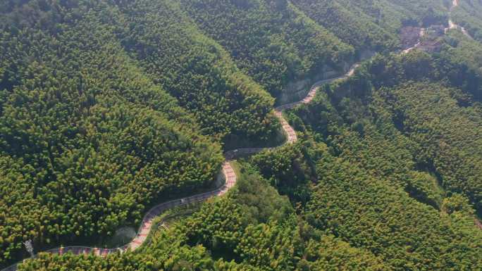 重庆茶山竹海公路旅行航拍自然风光