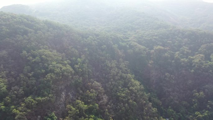 山峰山脉树林航拍清源山上升