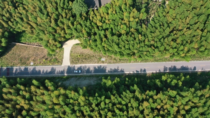 重庆茶山竹海公路旅行航拍自然风光