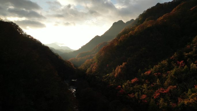 四川光雾山秋季日落风光航拍向前运镜