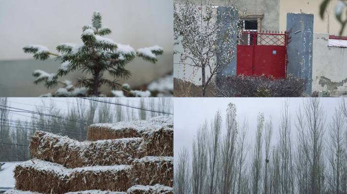 农村下雪 初学 雪景 雪花 廊檐 大门