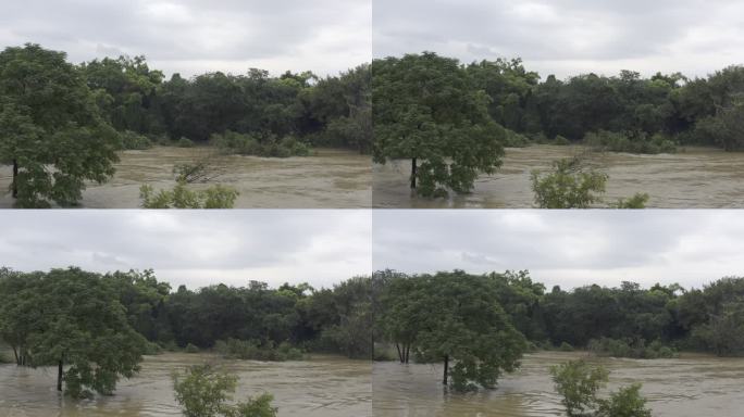 航拍河流涨大水 洪水 水灾 自然灾害