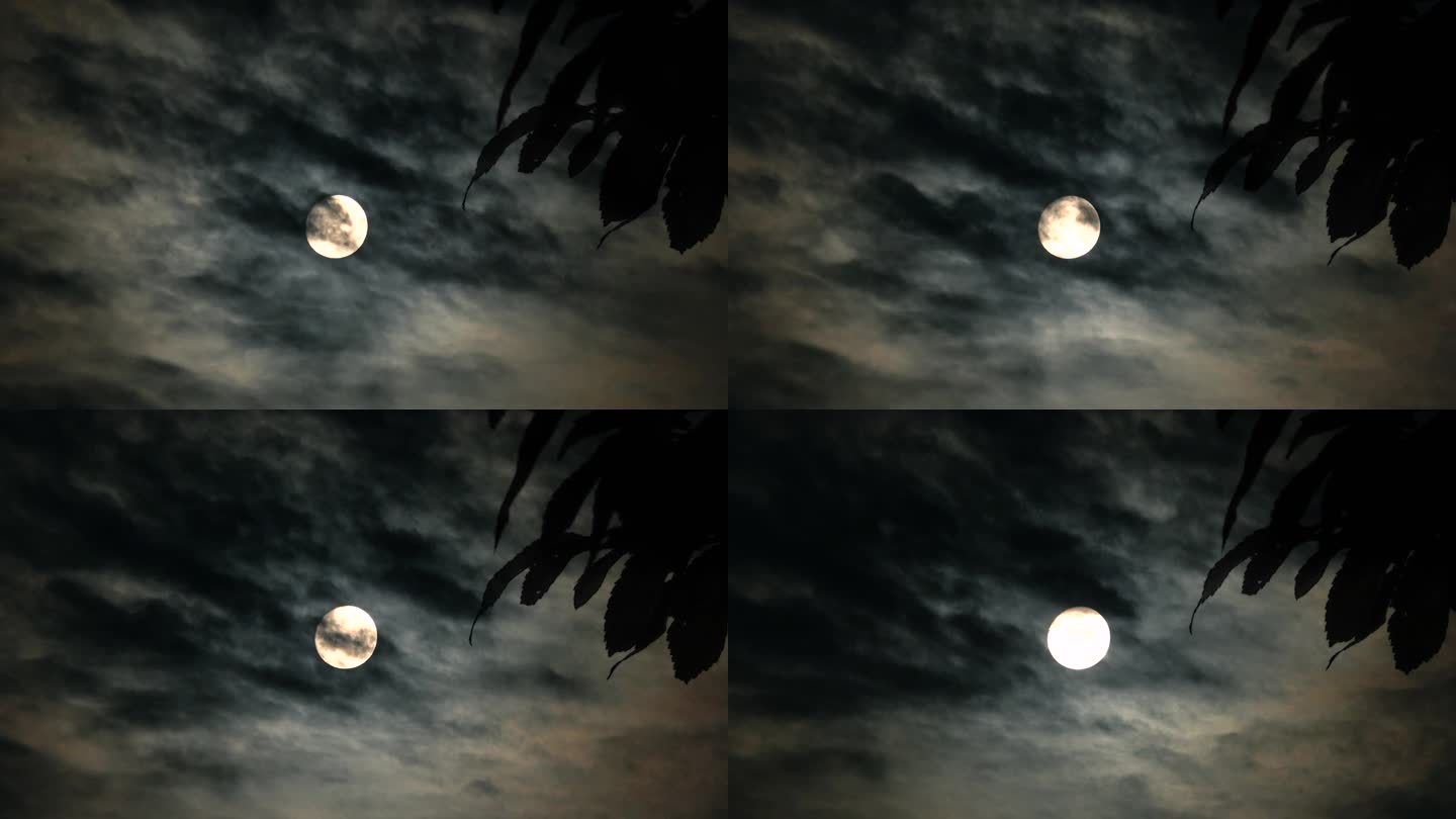 乌云月亮夜晚黑夜明月月亮月亮