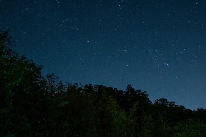 浙江湖州德清莫干山的星空竹林延时