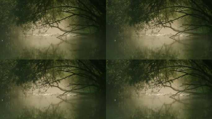 LS晨雾中的河流魔幻迷幻森林