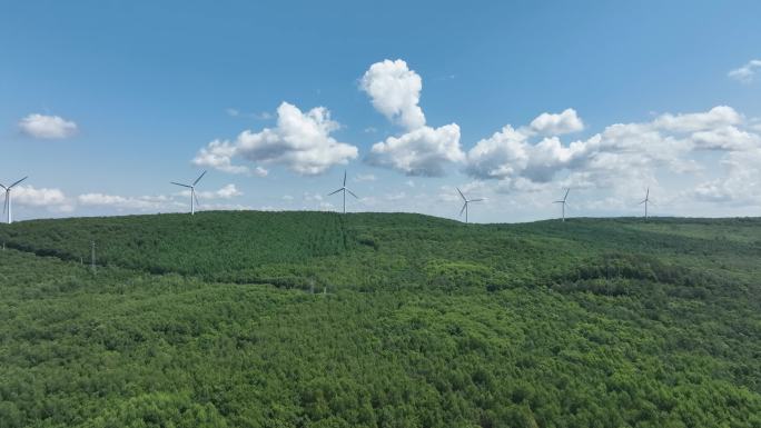 湿地，树林，草地，湖泊航拍空镜