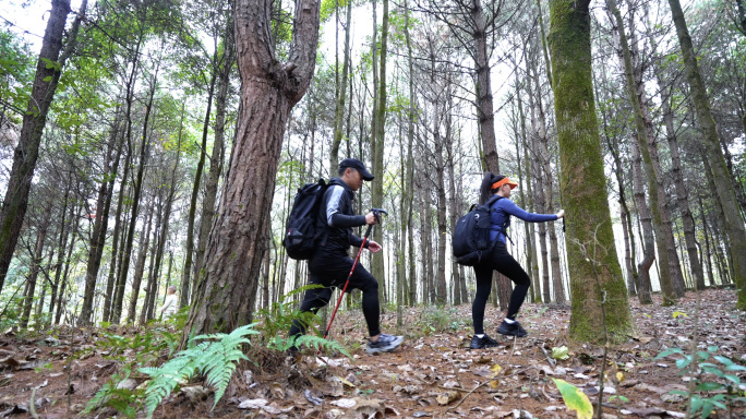 背包客穿越森林大自然旅行树林山林徒步探险