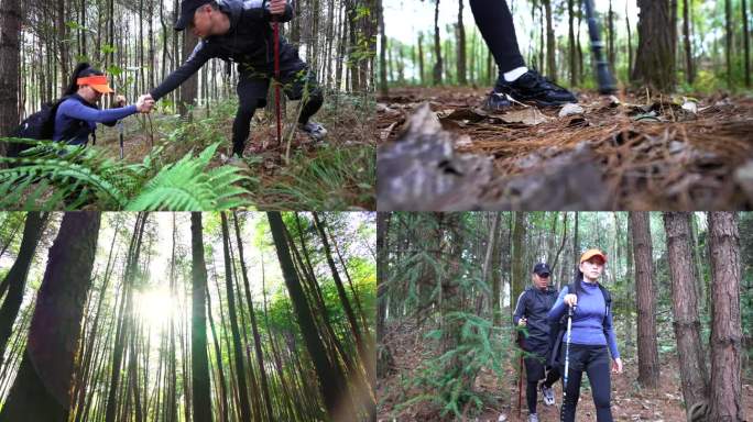 背包客穿越森林大自然旅行树林山林徒步探险