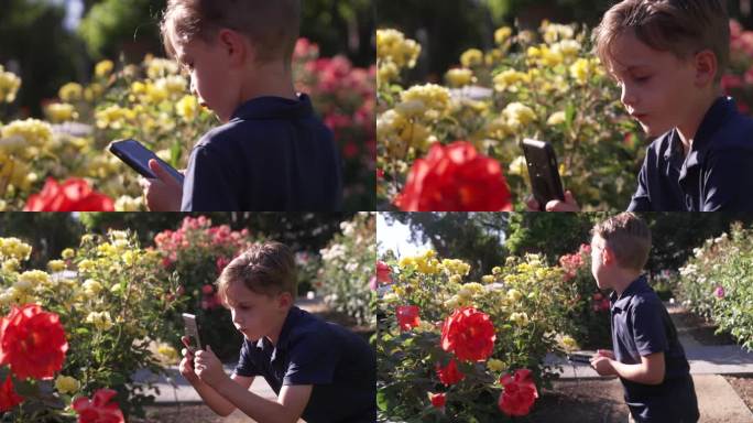 一个小男孩在公共花园里用智能手机拍摄五颜六色的花