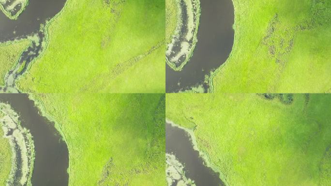 湿地，草地，湖泊航拍空镜