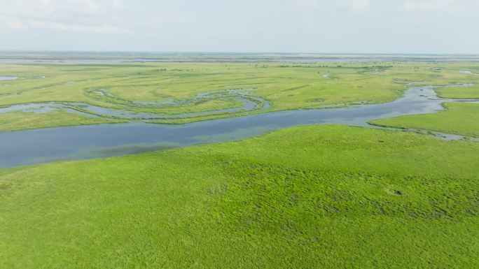 湿地，树林，草地，湖泊航拍空镜