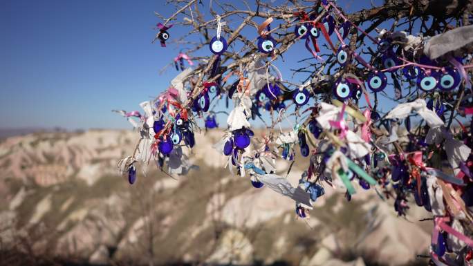 树枝上装饰着邪恶的眼睛护身符，Goreme，Cappadocia，