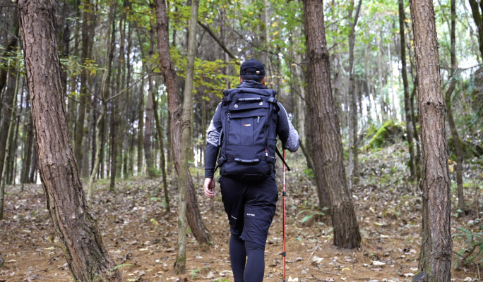 徒步行者-背包客穿越丛林森林冒险探索自然