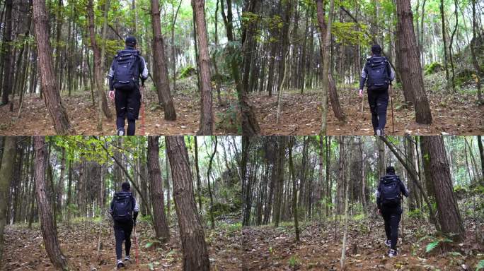 徒步行者-背包客穿越丛林森林冒险探索自然