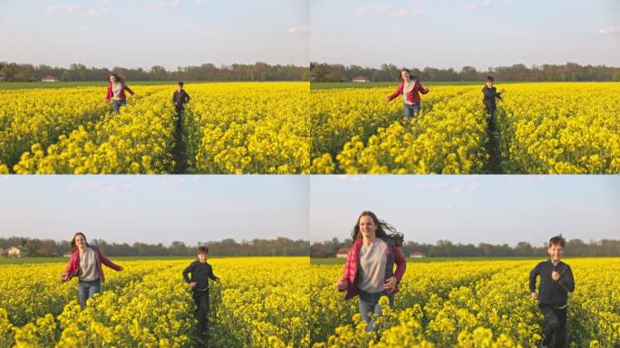 兄弟姐妹在黄花田里奔跑