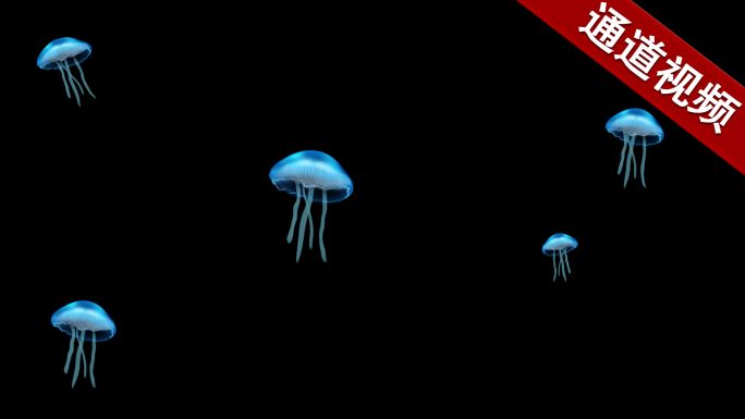 水母动画视频