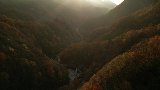 四川光雾山秋季红叶航拍耶稣光向前运镜