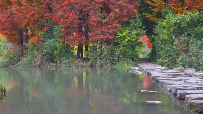 秋天湖边   湖水 倒影   石板路