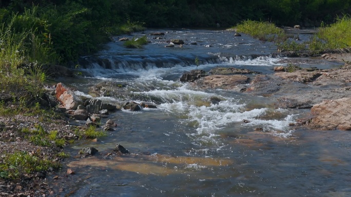 小溪小河视频山林间流淌溪水富含矿物质