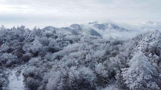 大疆航拍达州巴山大峡谷森林雪景