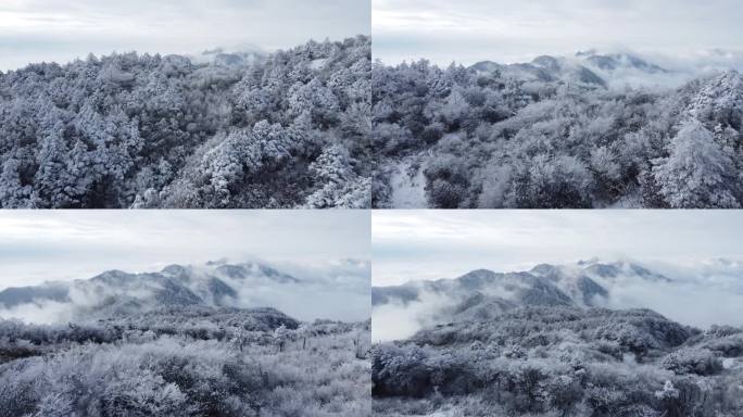 大疆航拍达州巴山大峡谷森林雪景