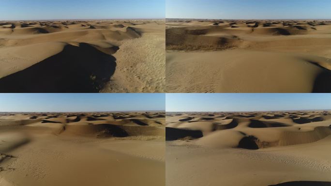 沙漠人家防沙治沙 环境治理抗旱 流动沙丘
