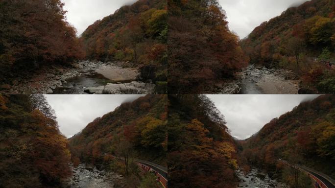 四川光雾山秋季红叶山沟溪流航拍