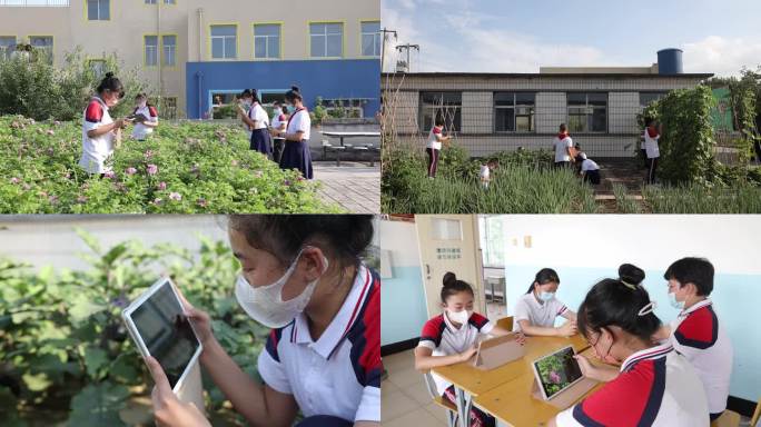 学生平板照相观察植物自然科学课