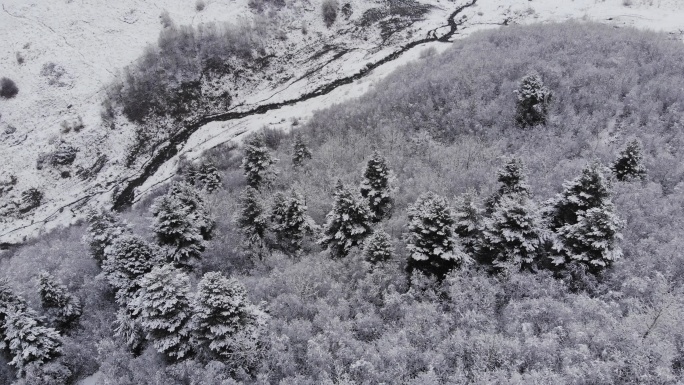 风雪交加下雪雪林林海雪景雪山冬日冬天