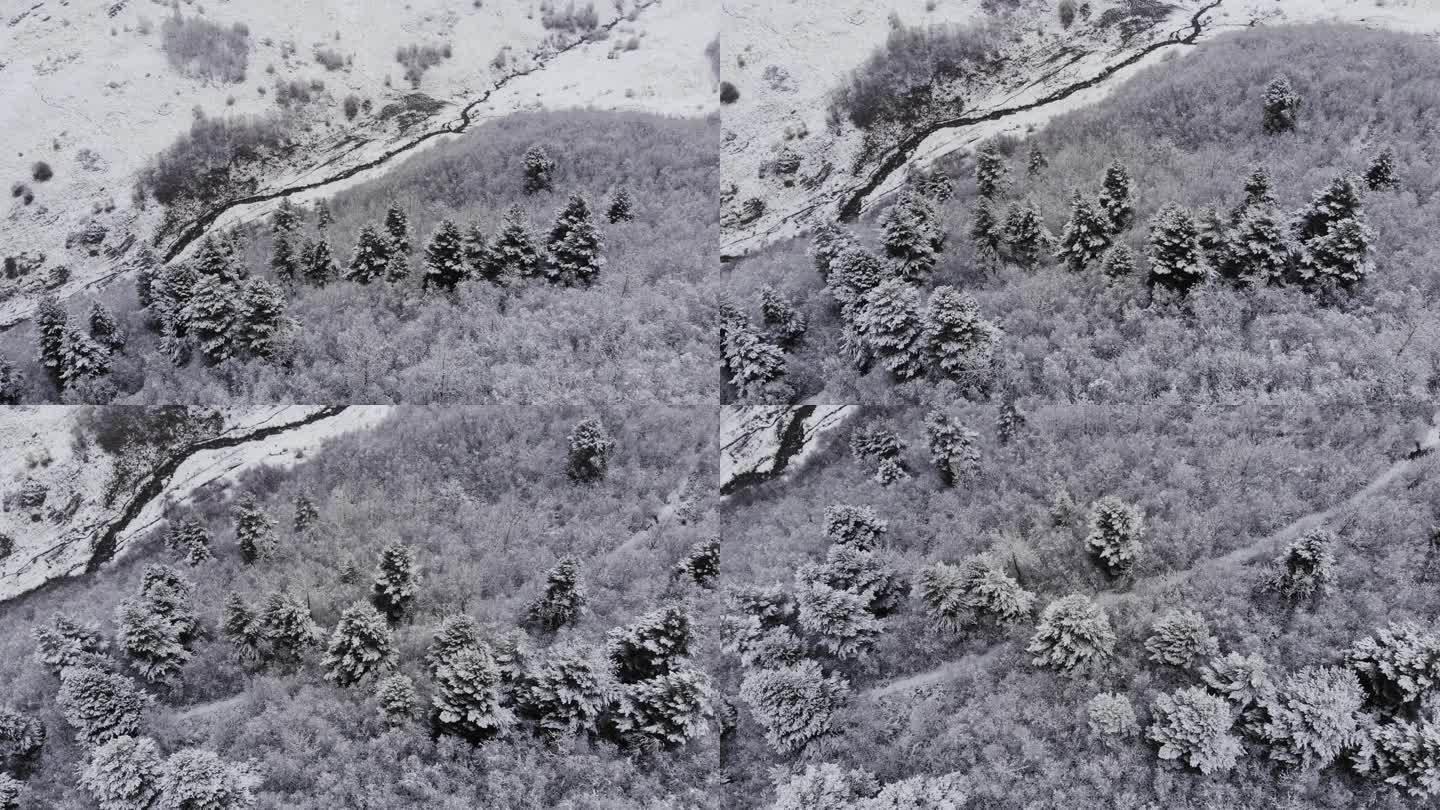 风雪交加下雪雪林林海雪景雪山冬日冬天