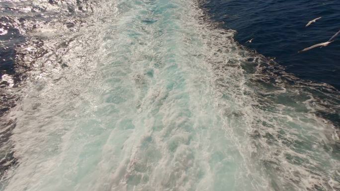 在爱琴海巡航海鸥追逐愉快的时光海边生活