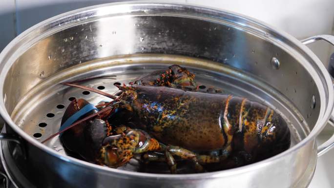 家庭厨房清蒸波士顿龙虾螃蟹清蒸海鲜