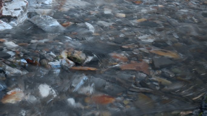 小溪小河视频山林间流淌清澈溪水富含矿物质