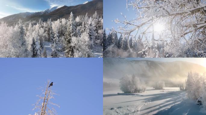 新疆旅游地-喀纳斯、禾木（冬季雪景晨雾）