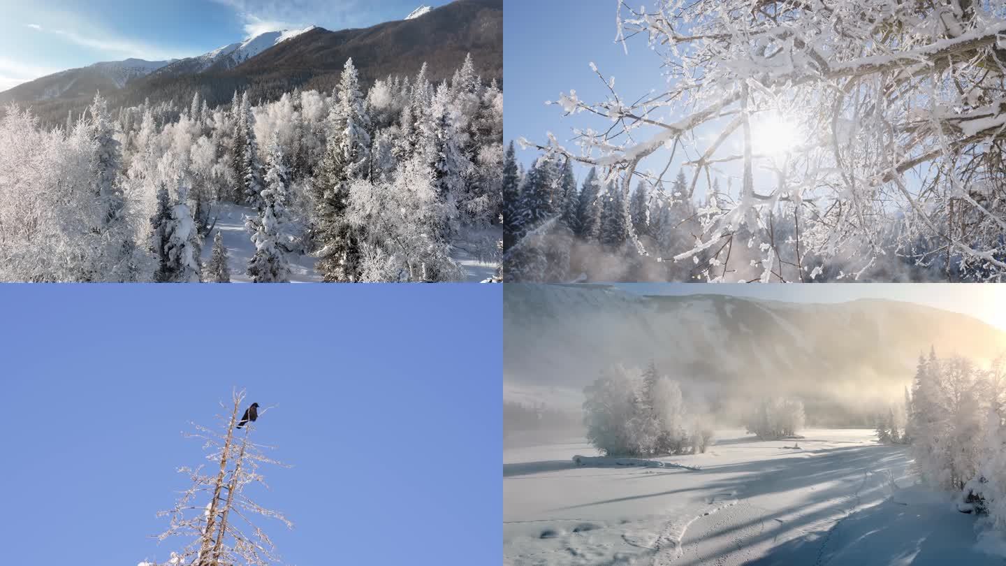新疆旅游地-喀纳斯、禾木（冬季雪景晨雾）